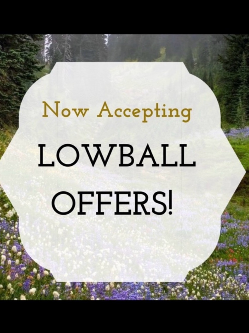 Now Accepting Lowball Offers Decorative Sign - White & Gold